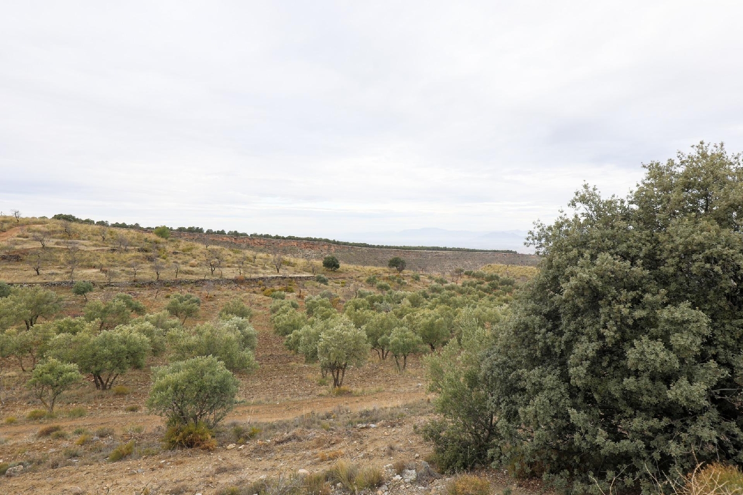  for sale house Monachil Vega De Granada 6