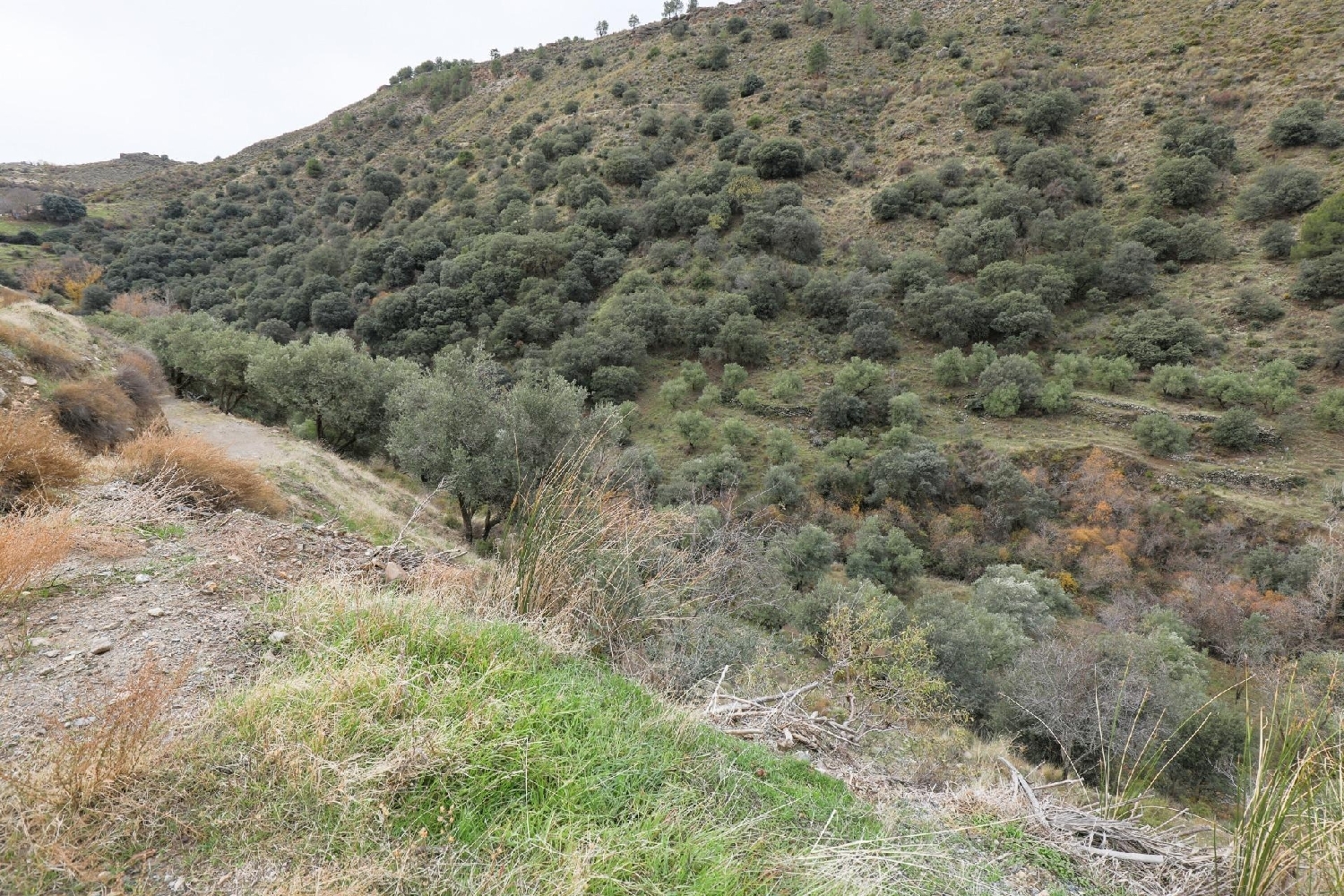  for sale house Monachil Vega De Granada 1