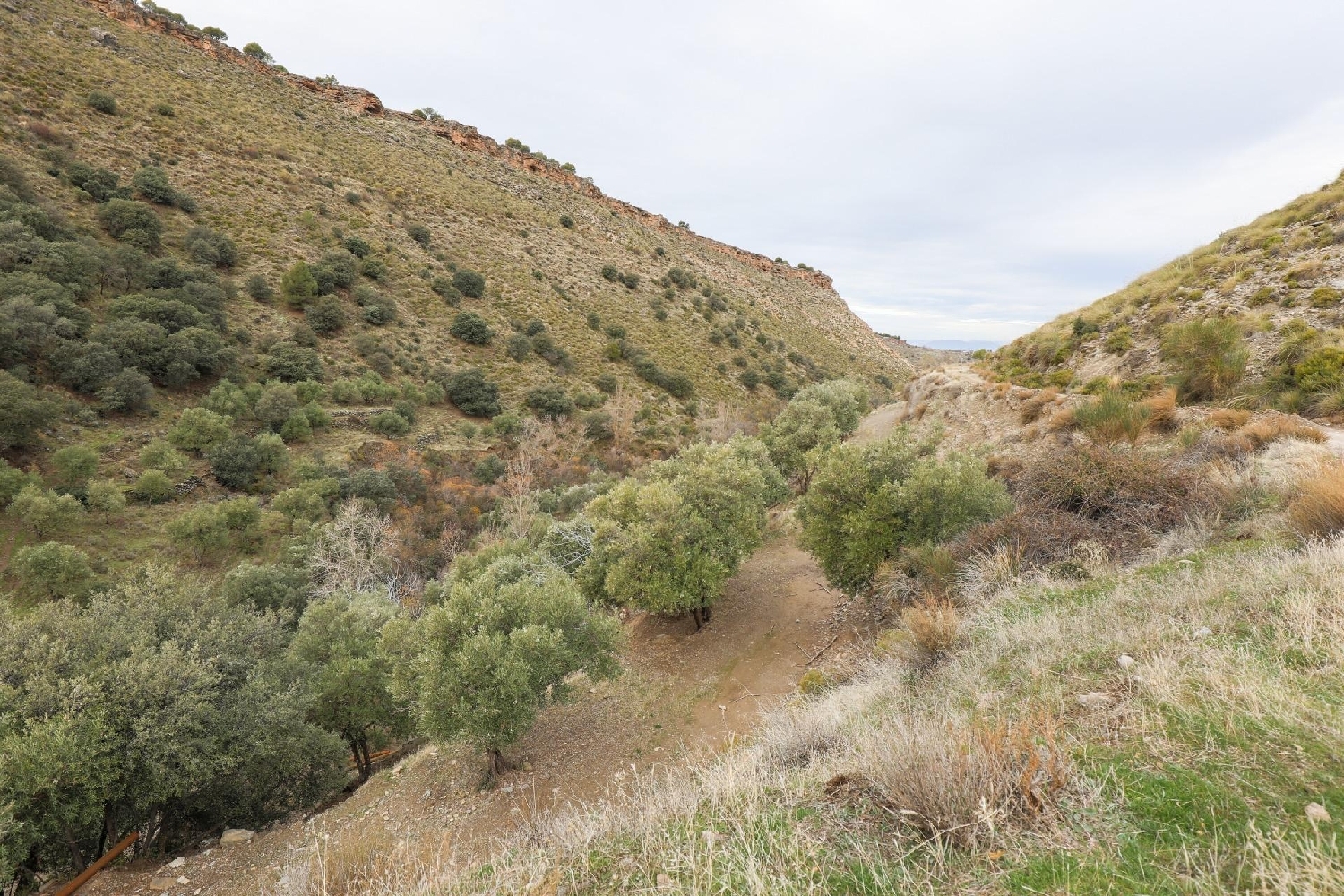  for sale house Monachil Vega De Granada 6