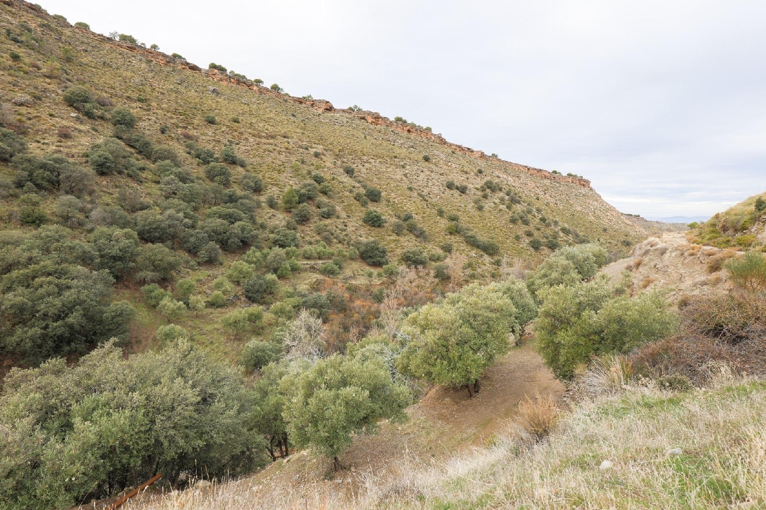  for sale house Monachil Vega De Granada 5