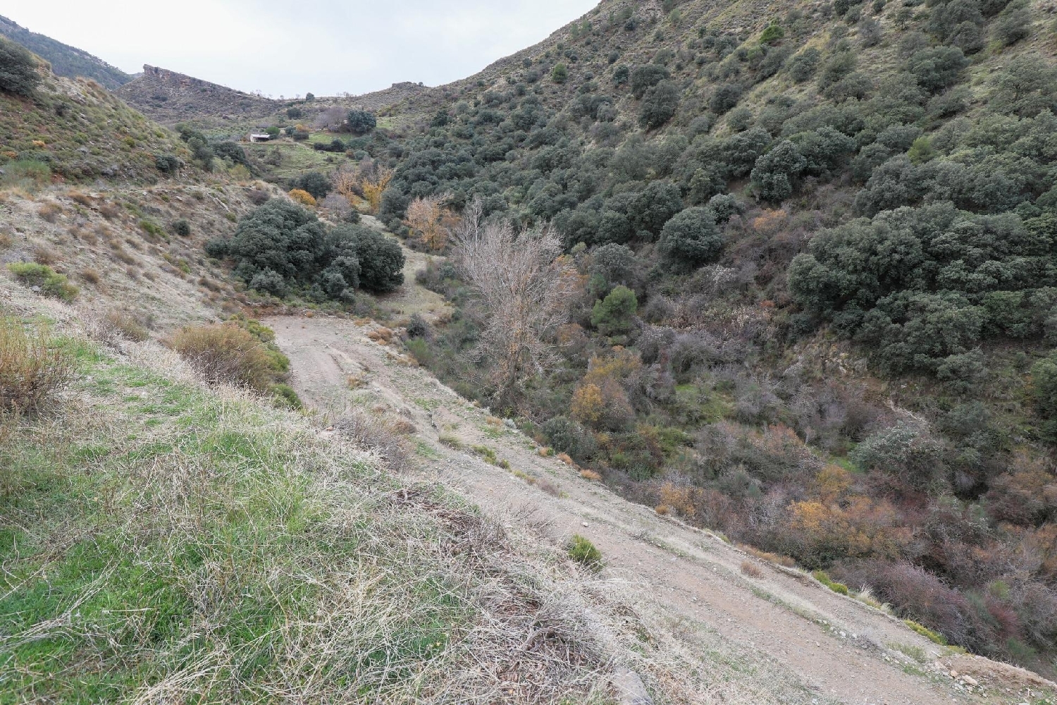  for sale house Monachil Vega De Granada 7