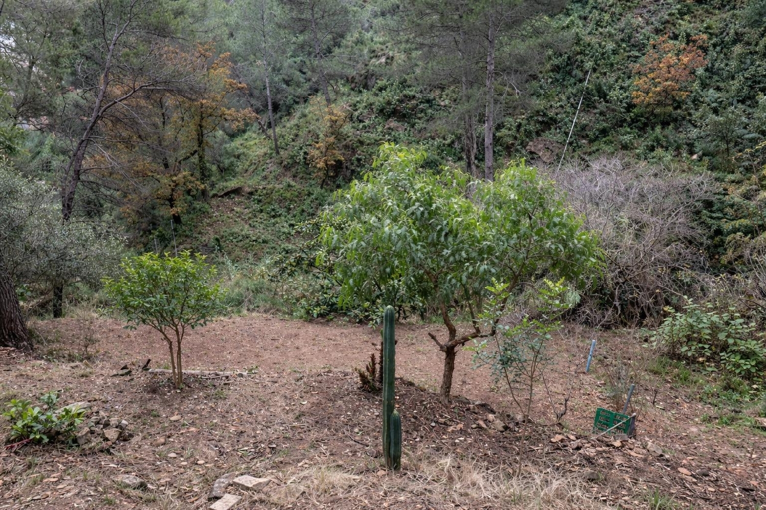 en venta casa Monistrol De Montserrat Bages 3