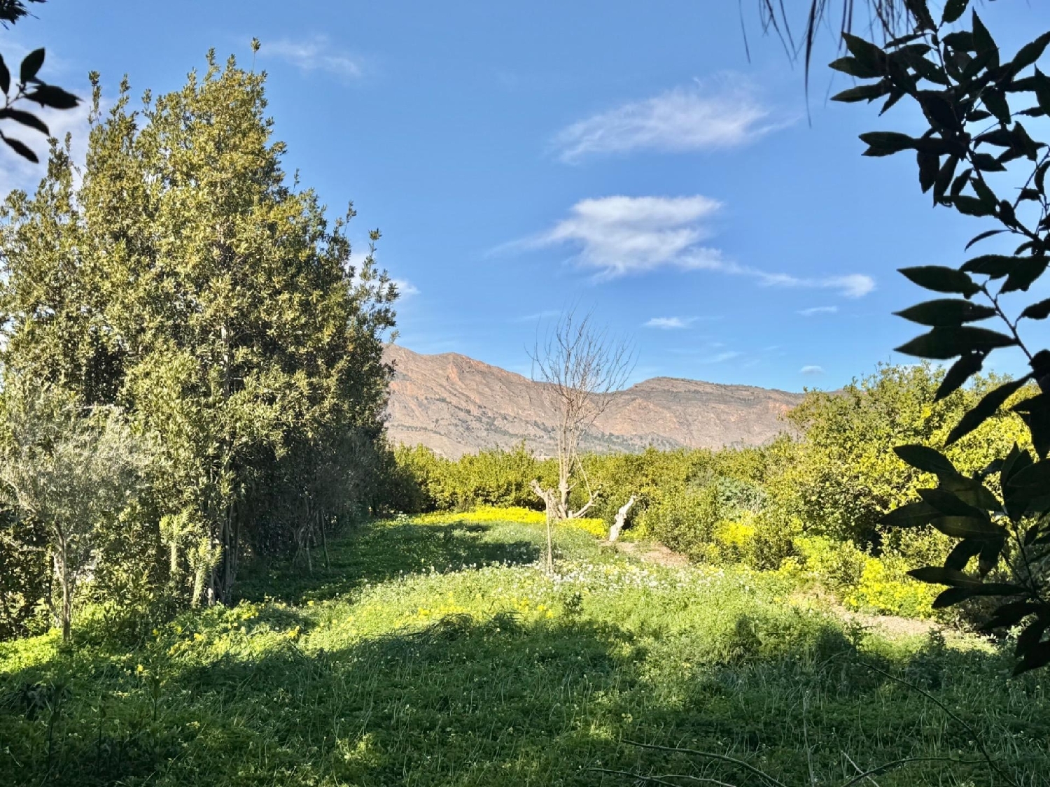  à vendre maison Orihuela Baix Segura 2