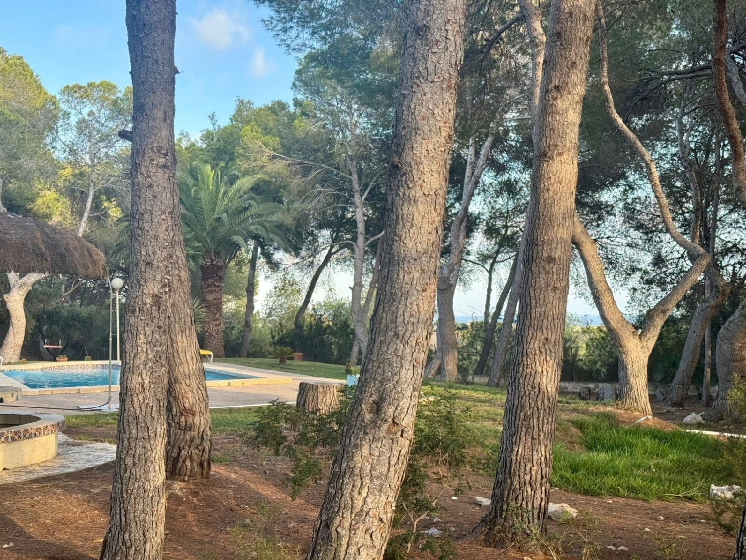  for sale house Orihuela Costa Baix Segura 4