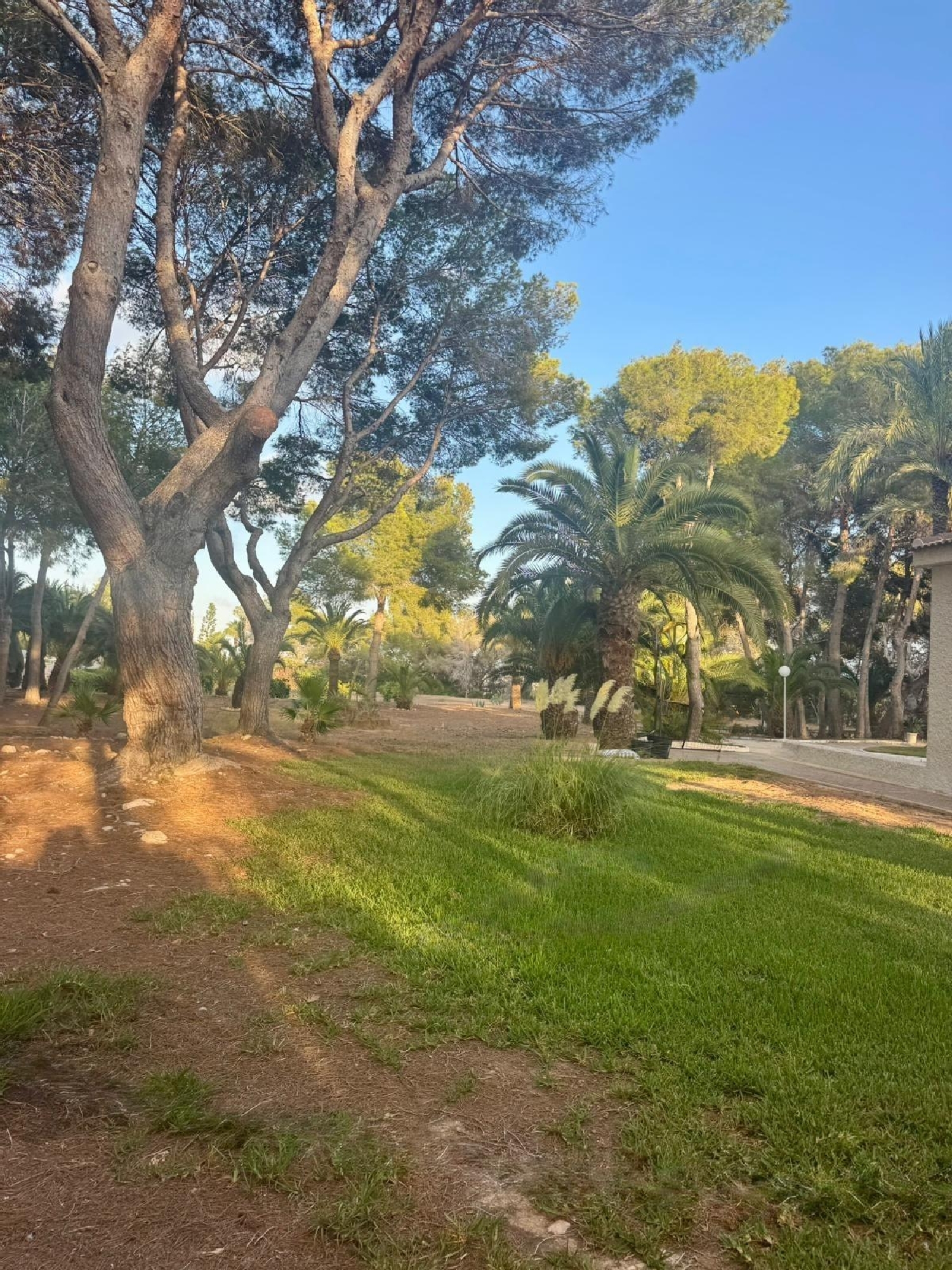  for sale house Orihuela Costa Baix Segura 7