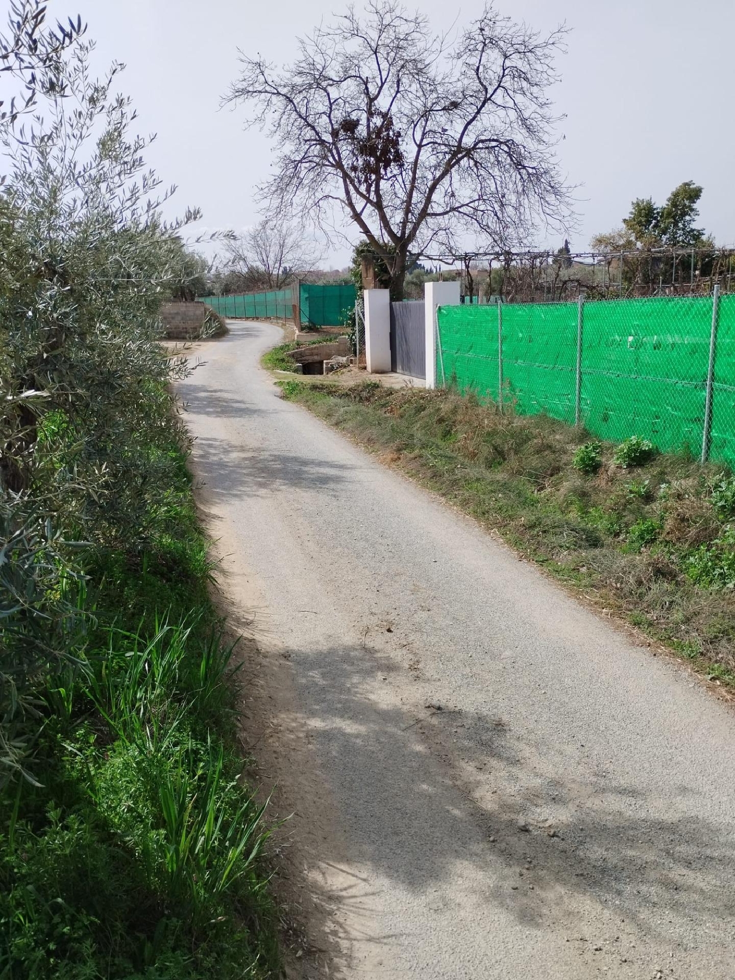  kaufen Haus Otura Vega De Granada 3