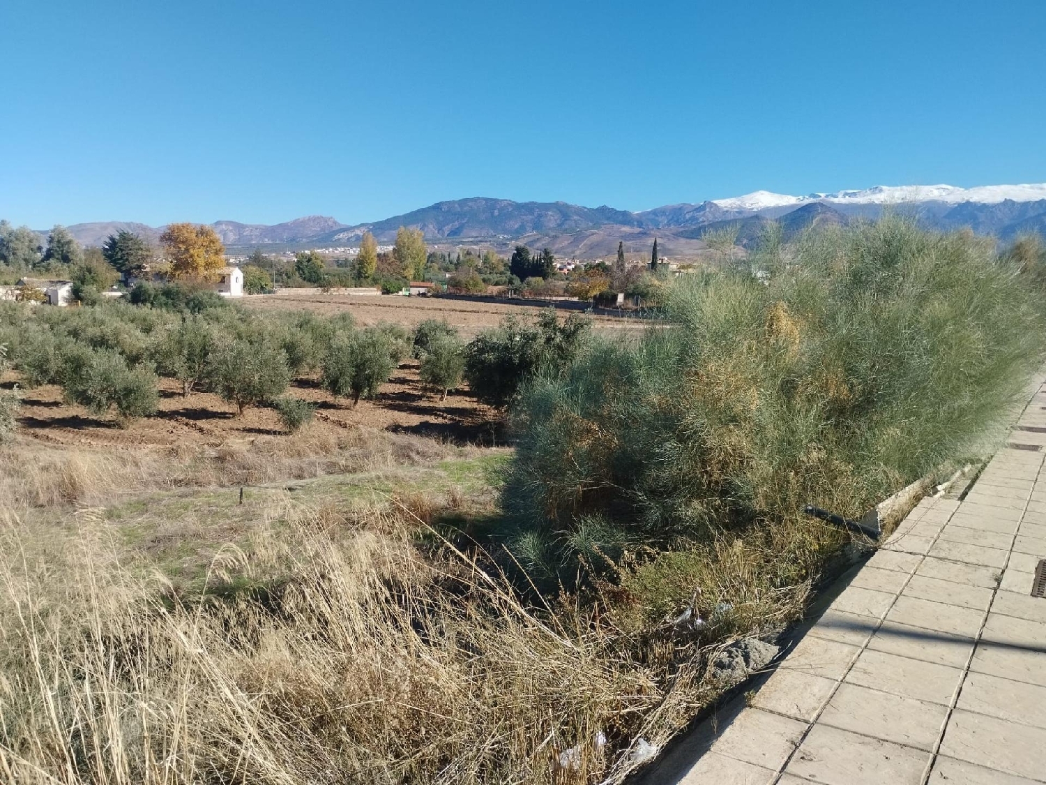  kaufen Haus Otura Vega De Granada 2