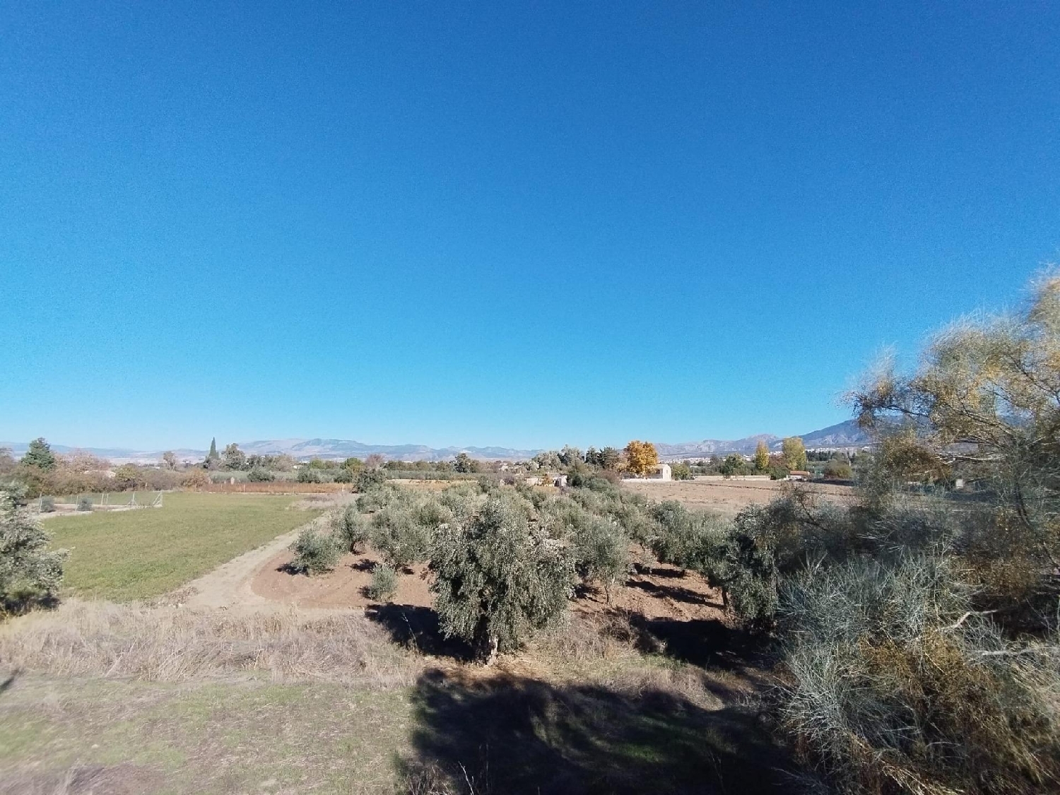  kaufen Haus Otura Vega De Granada 8