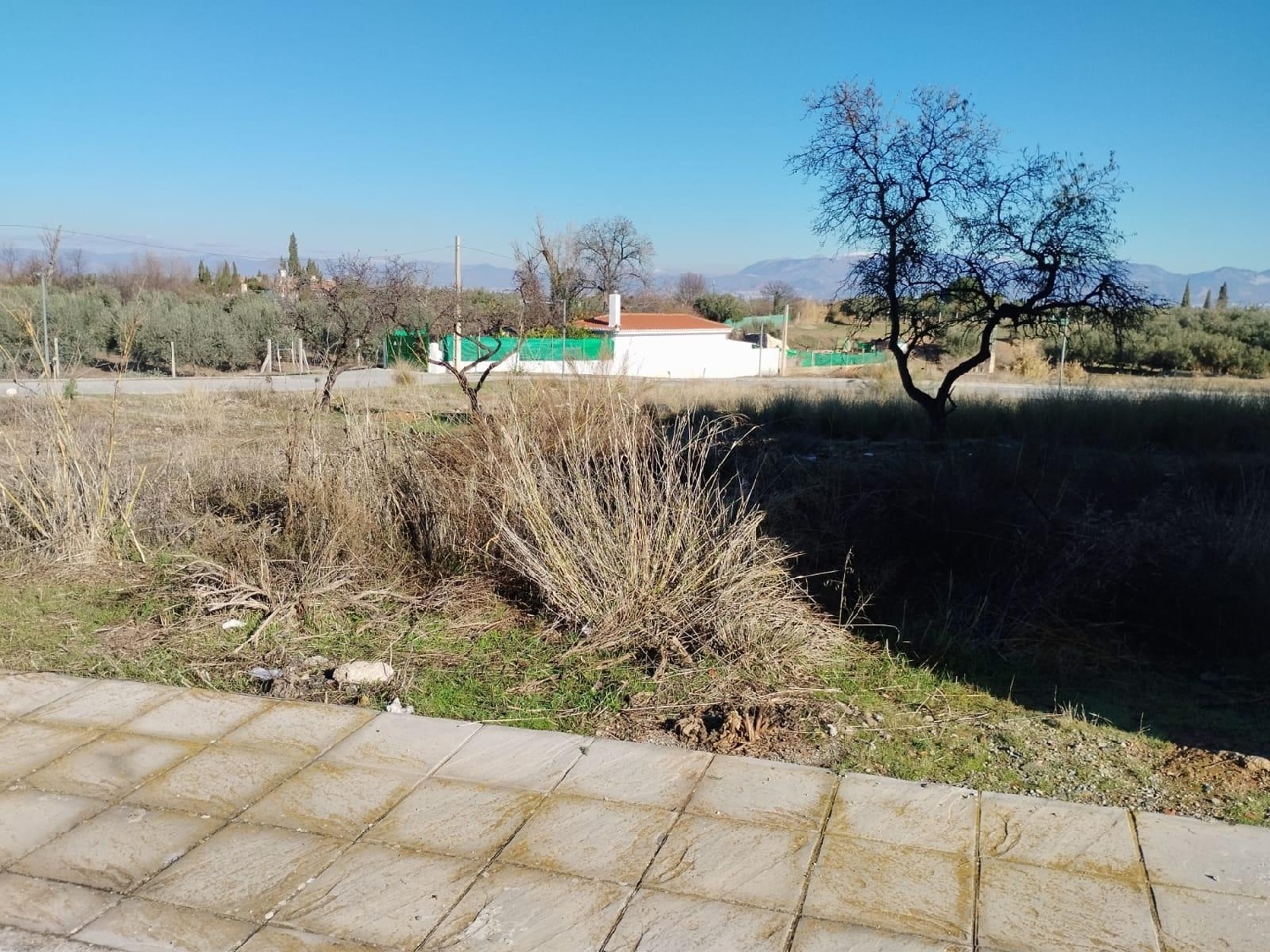  kaufen Haus Otura Vega De Granada 6