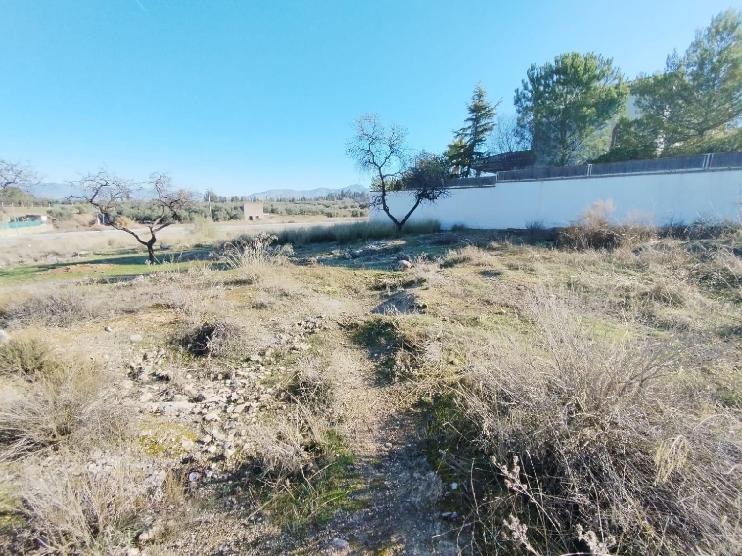  kaufen Haus Otura Vega De Granada 4