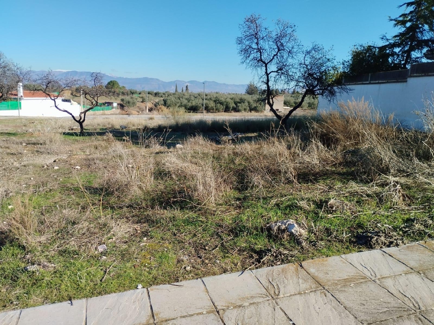  kaufen Haus Otura Vega De Granada 1