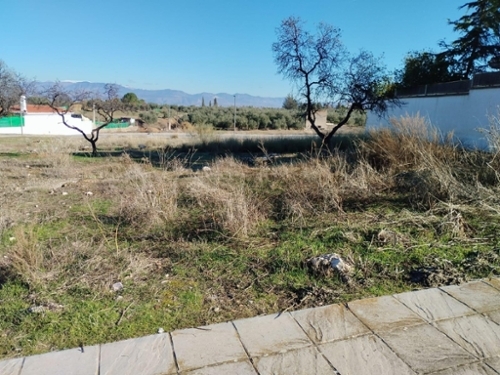 Otura Vega De Granada Haus Bild 6325643