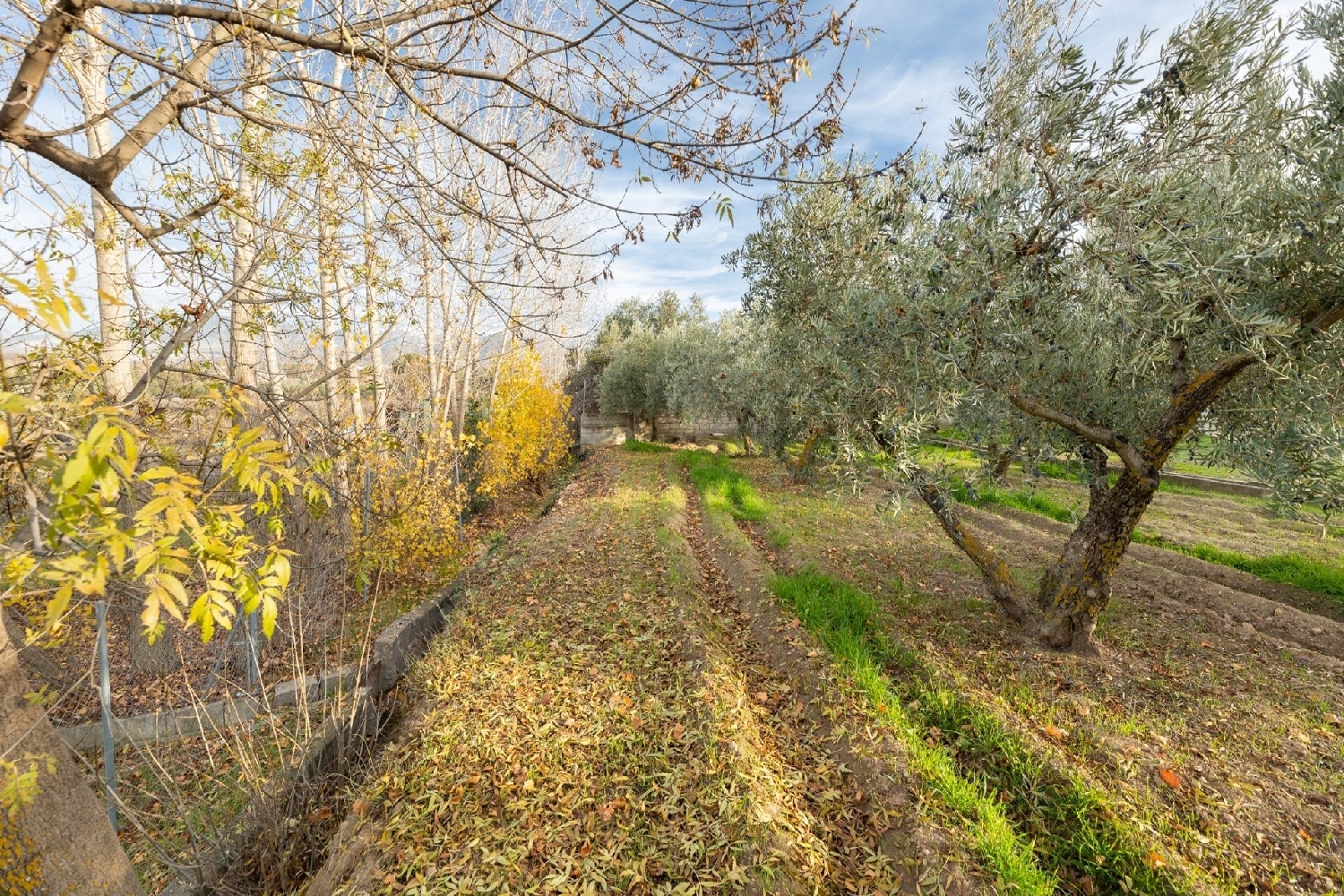  en venta casa Otura Vega De Granada 4