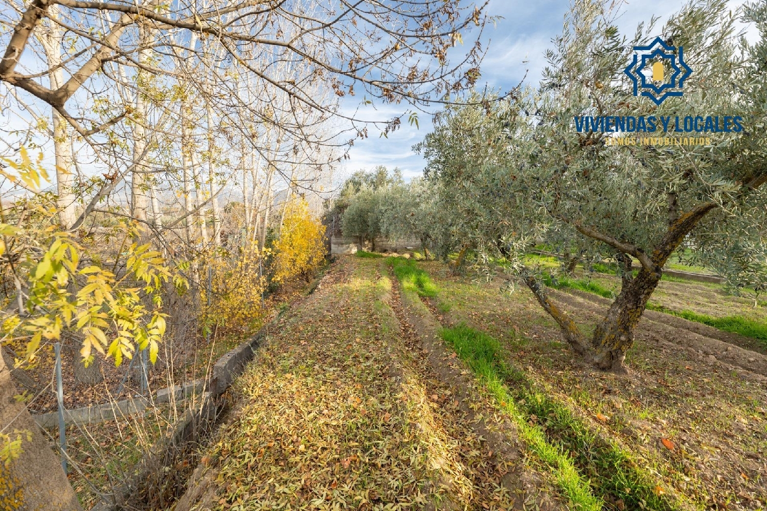  for sale house Otura Vega De Granada 4