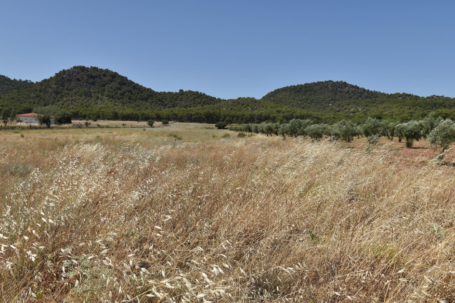  te koop huis Padules Alpujarra Almeriense 2