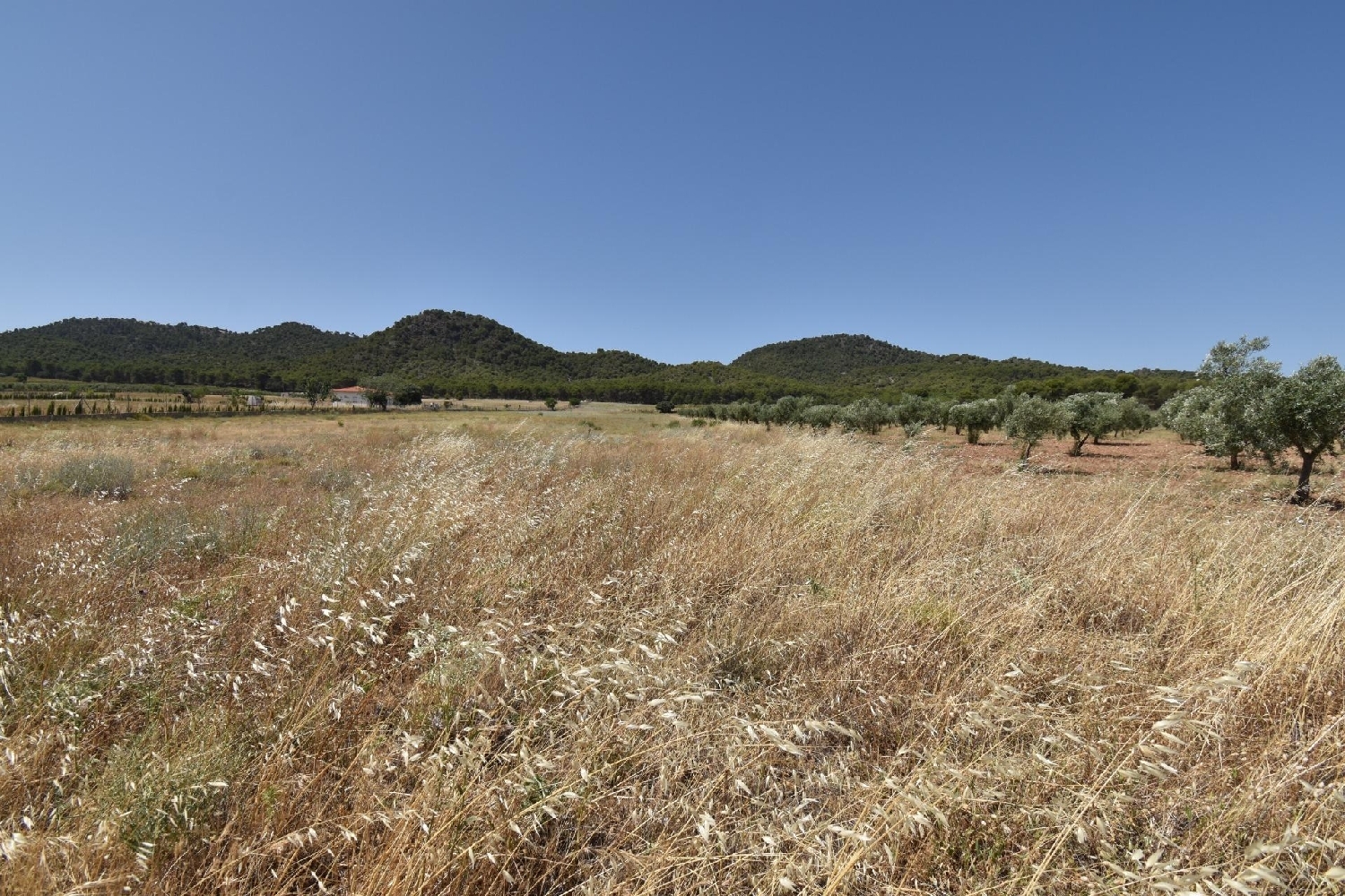  te koop huis Padules Alpujarra Almeriense 1