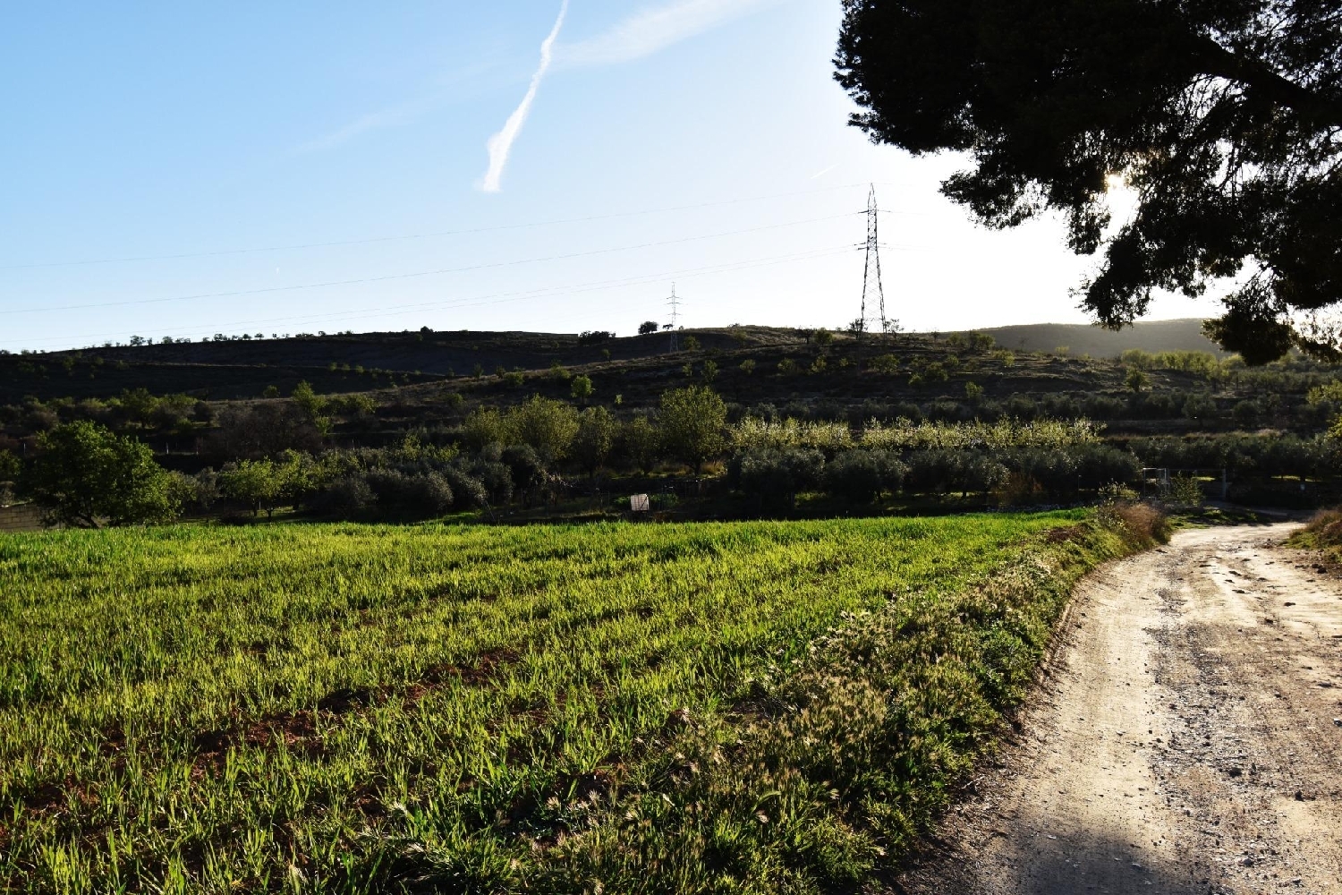  en venta casa Padules Alpujarra Almeriense 4