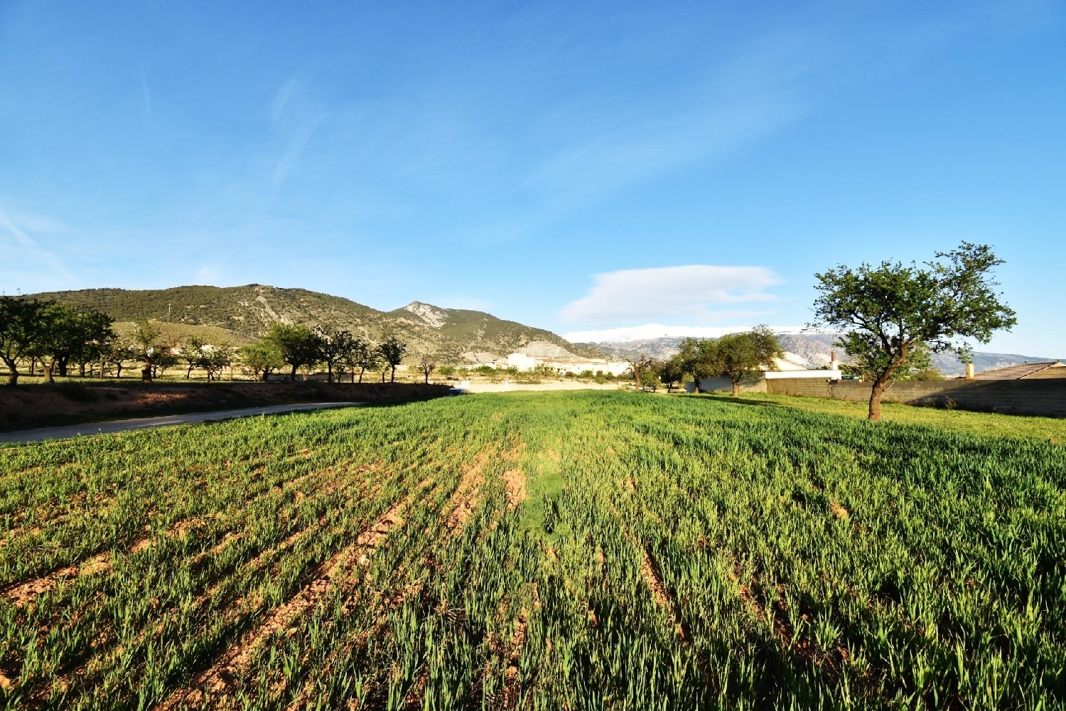  en venta casa Padules Alpujarra Almeriense 1