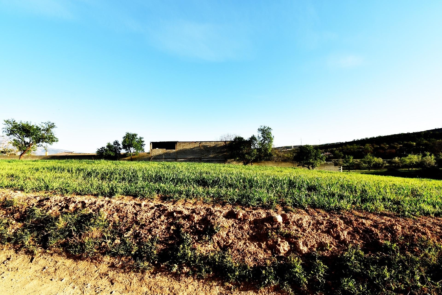  en venta casa Padules Alpujarra Almeriense 6