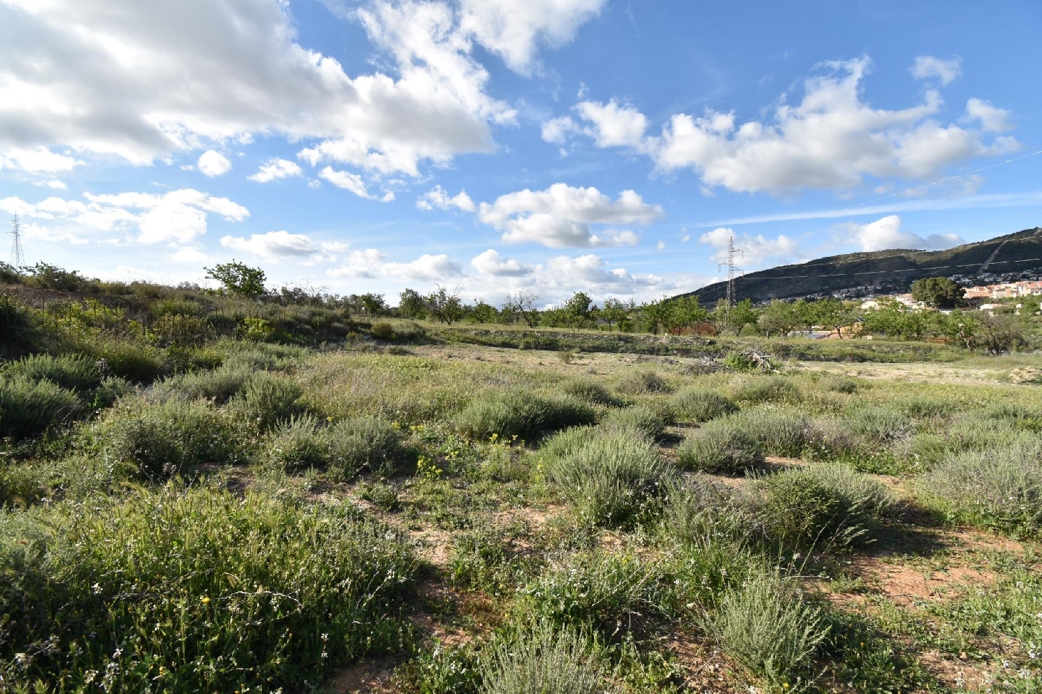  en venta casa Padules Alpujarra Almeriense 7