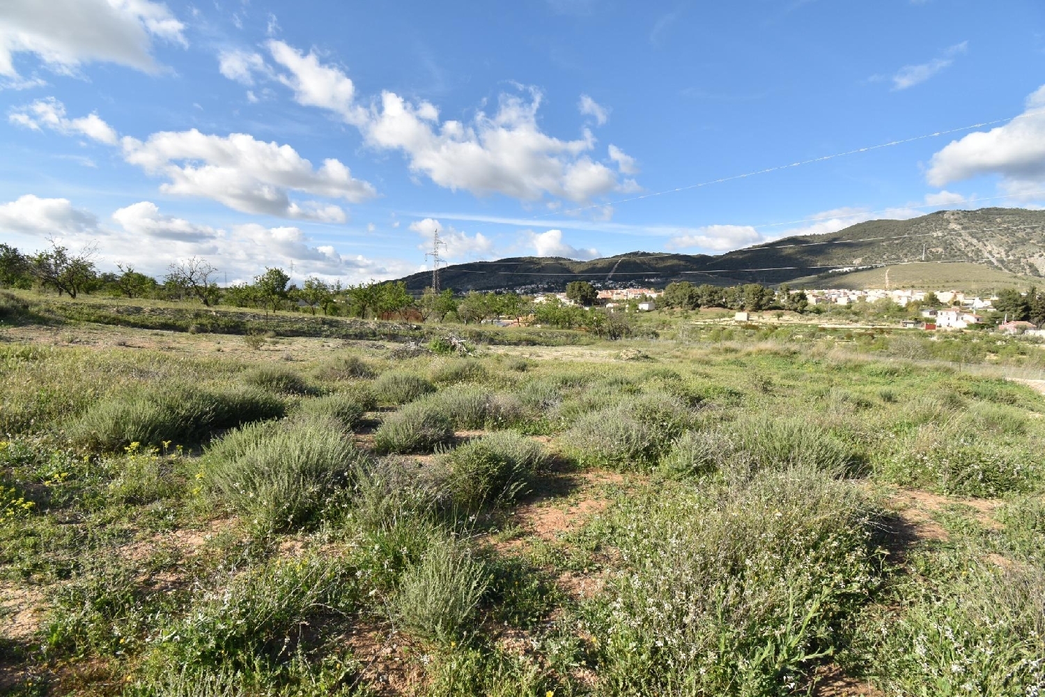  en venta casa Padules Alpujarra Almeriense 8