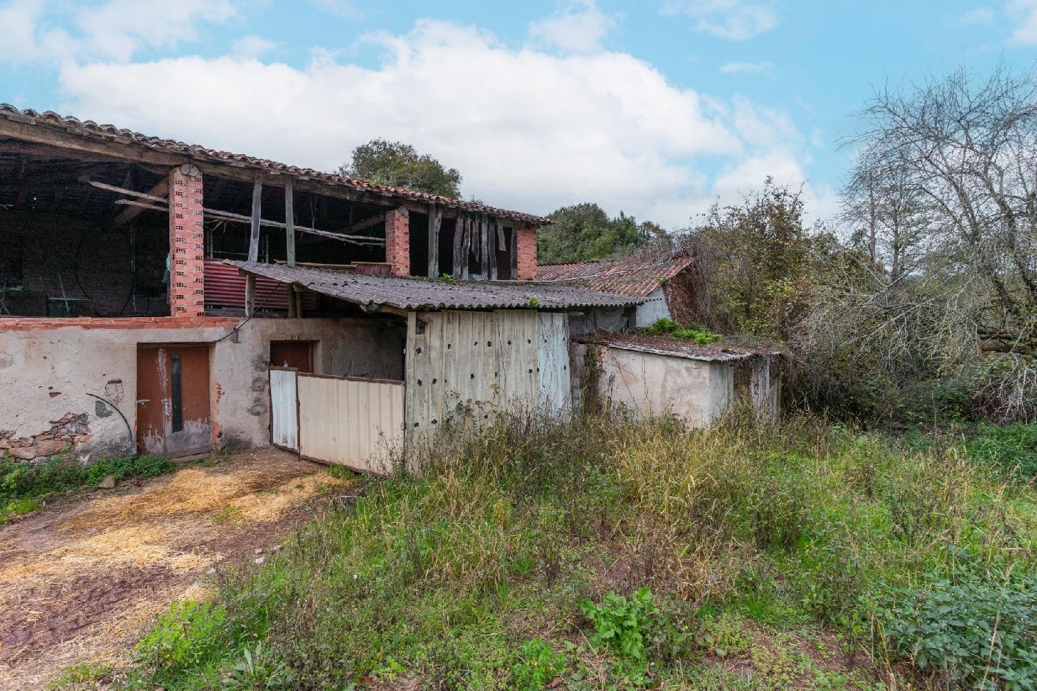  for sale house Pernus Oriente 4