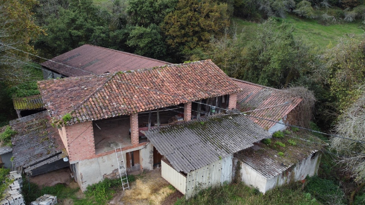  for sale house Pernus Oriente 7