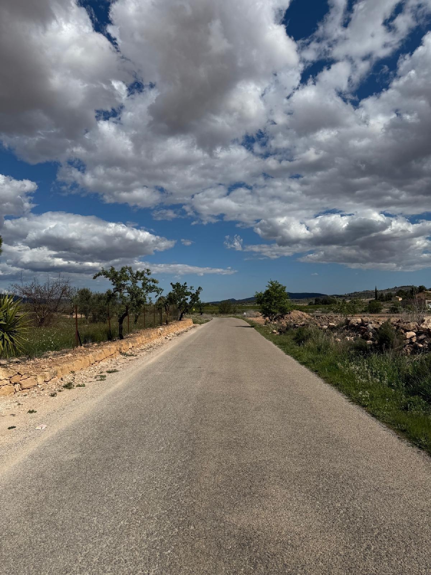  for sale house Pinoso Vinalopó Mitjà 4