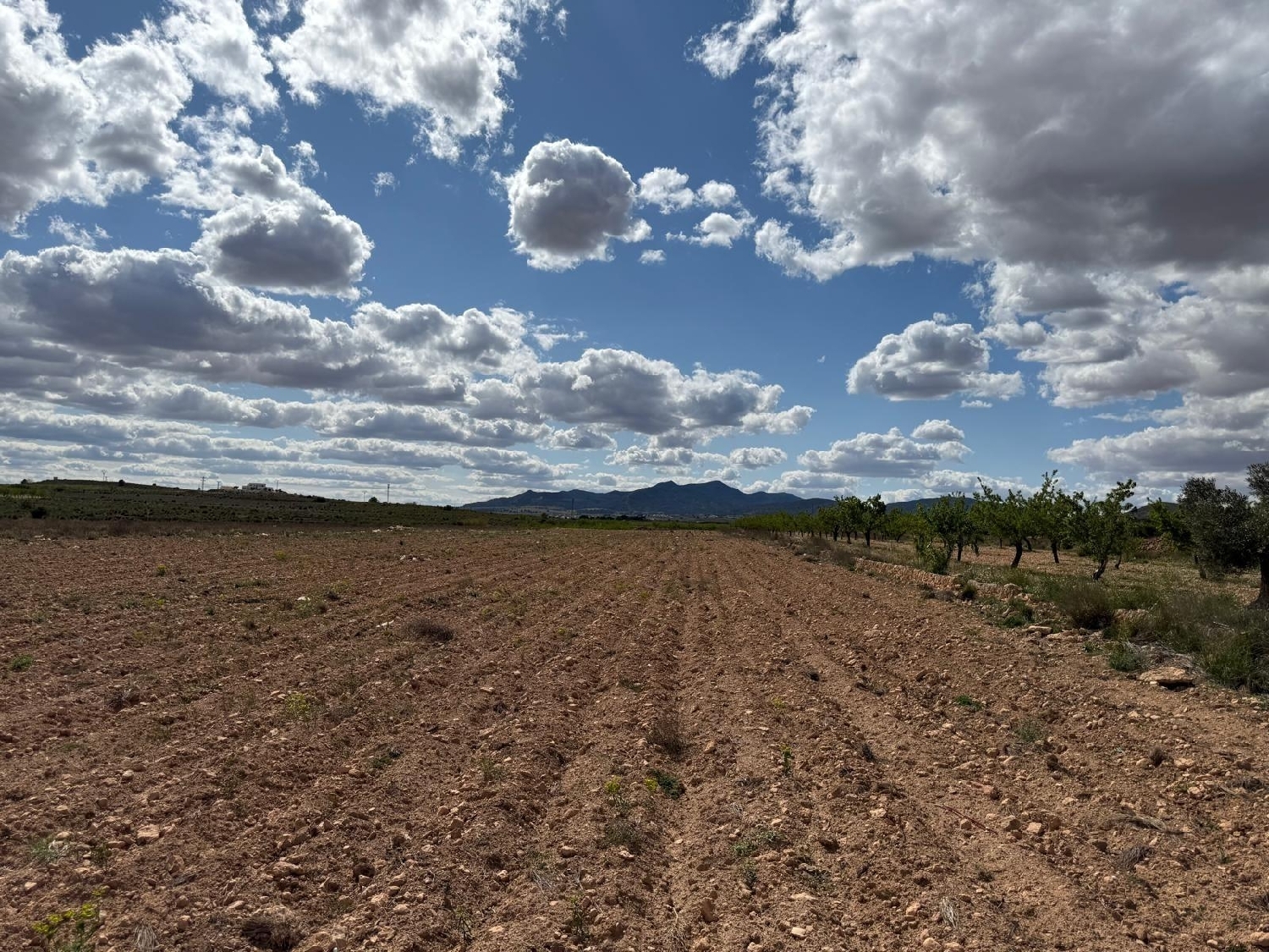 te koop huis Pinoso Vinalopó Mitjà 7