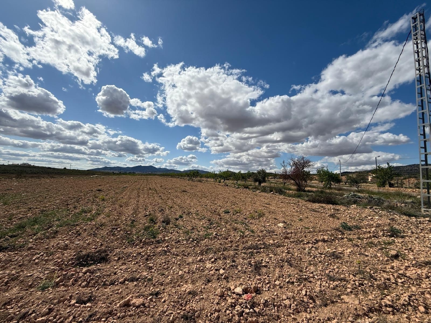  for sale house Pinoso Vinalopó Mitjà 6