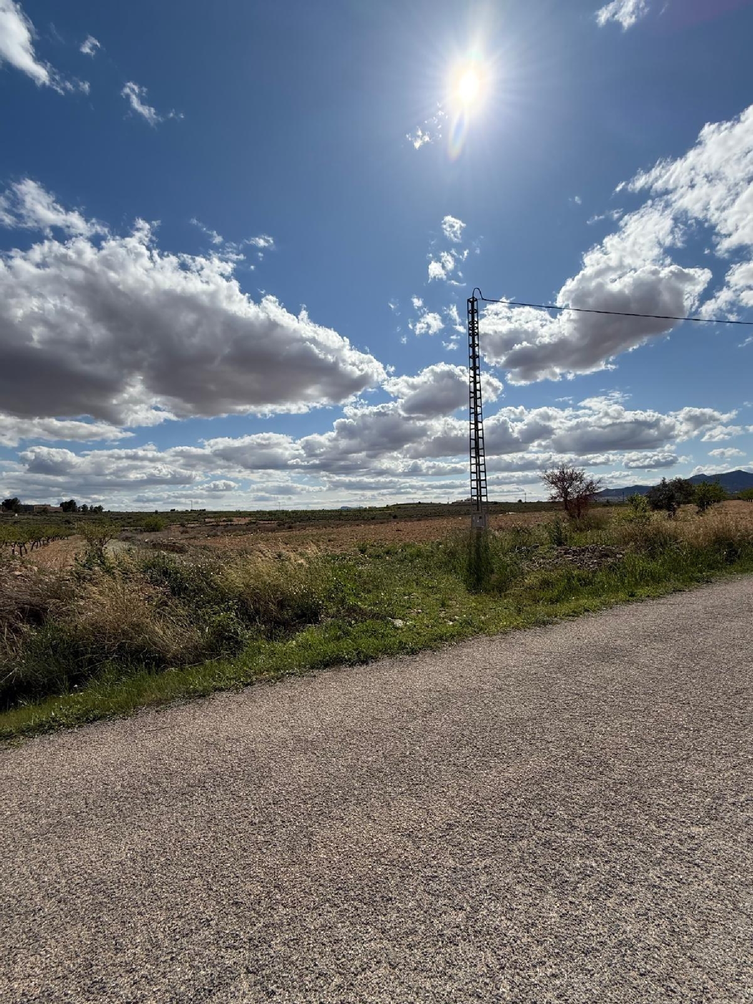  for sale house Pinoso Vinalopó Mitjà 5