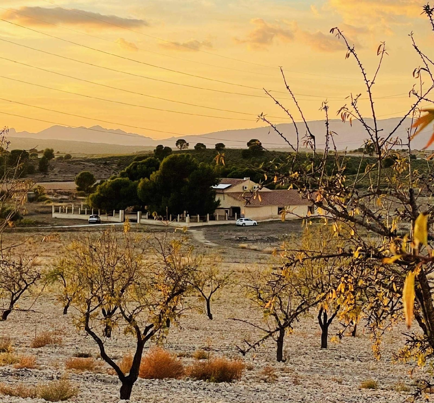  kaufen Haus Pinoso Vinalopó Mitjà 1