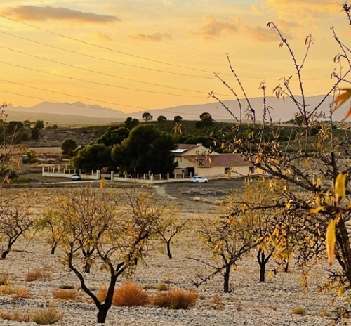 Pinoso Vinalopó Mitjà maison foto 6334428