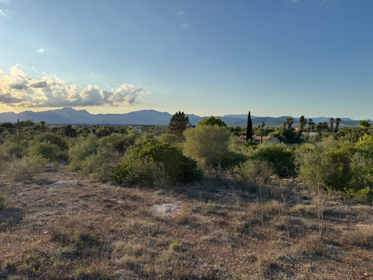  te koop huis Platja De Muro Nord 4