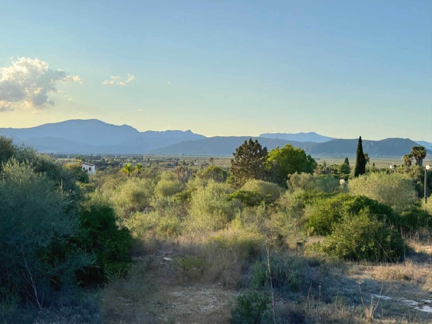  te koop huis Platja De Muro Nord 6