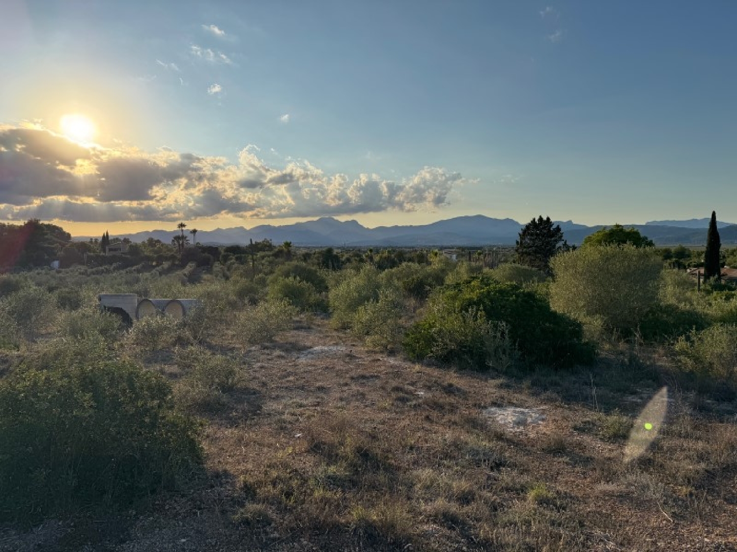  te koop huis Platja De Muro Nord 5