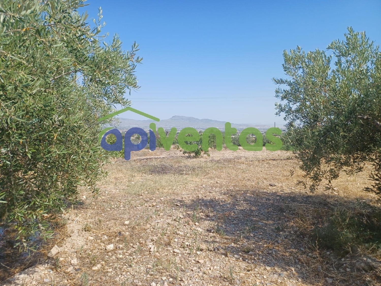  te koop huis Porcariza Arzúa 7