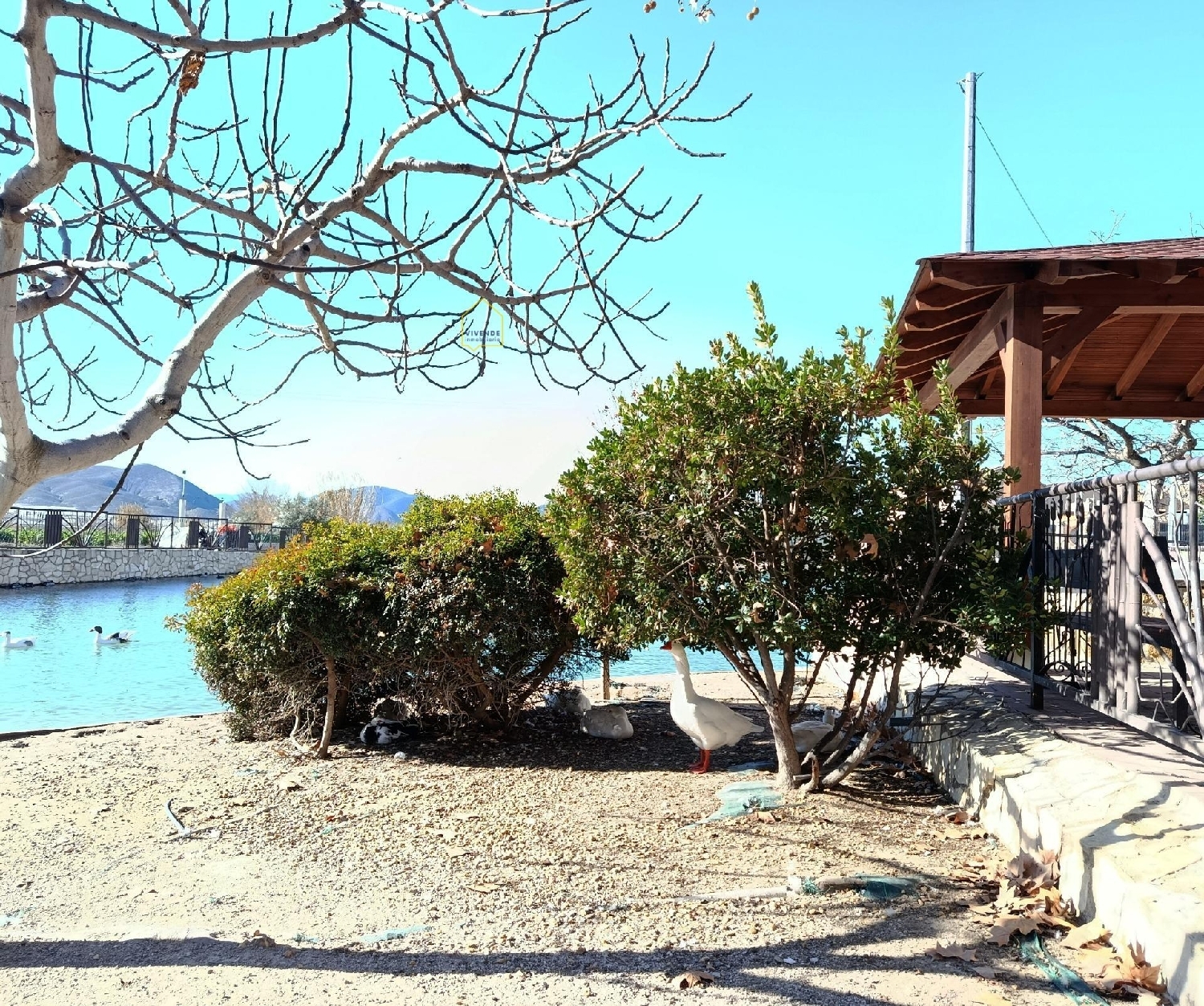 for sale house Porcariza Arzúa 3