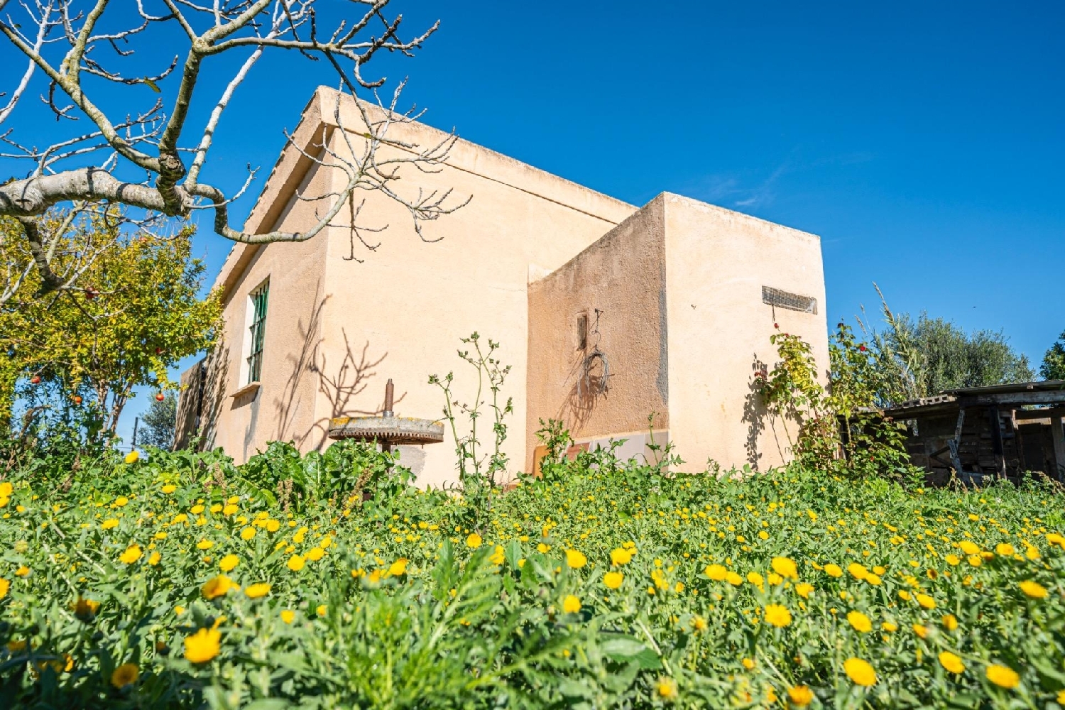  te koop huis Porreres Pla (Es) 2