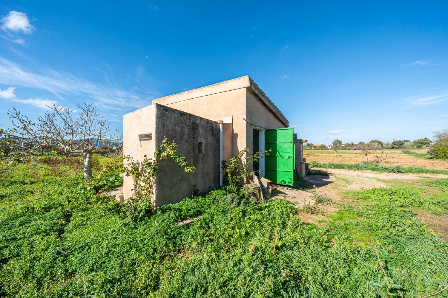  te koop huis Porreres Pla (Es) 1