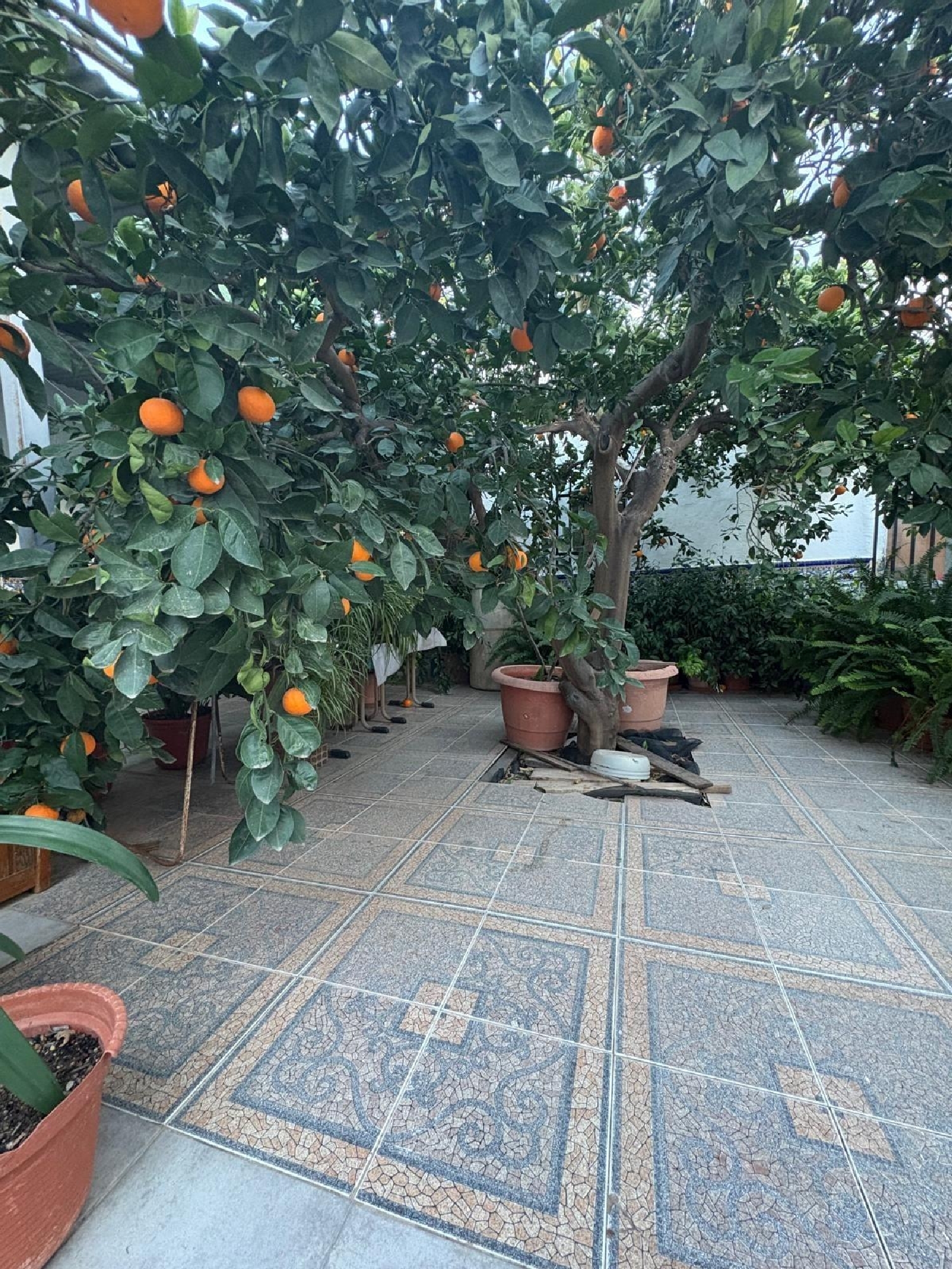  à vendre maison Puerto Lumbreras Alto Guadalentín 6