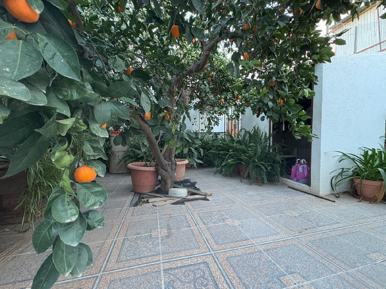  à vendre maison Puerto Lumbreras Alto Guadalentín 5