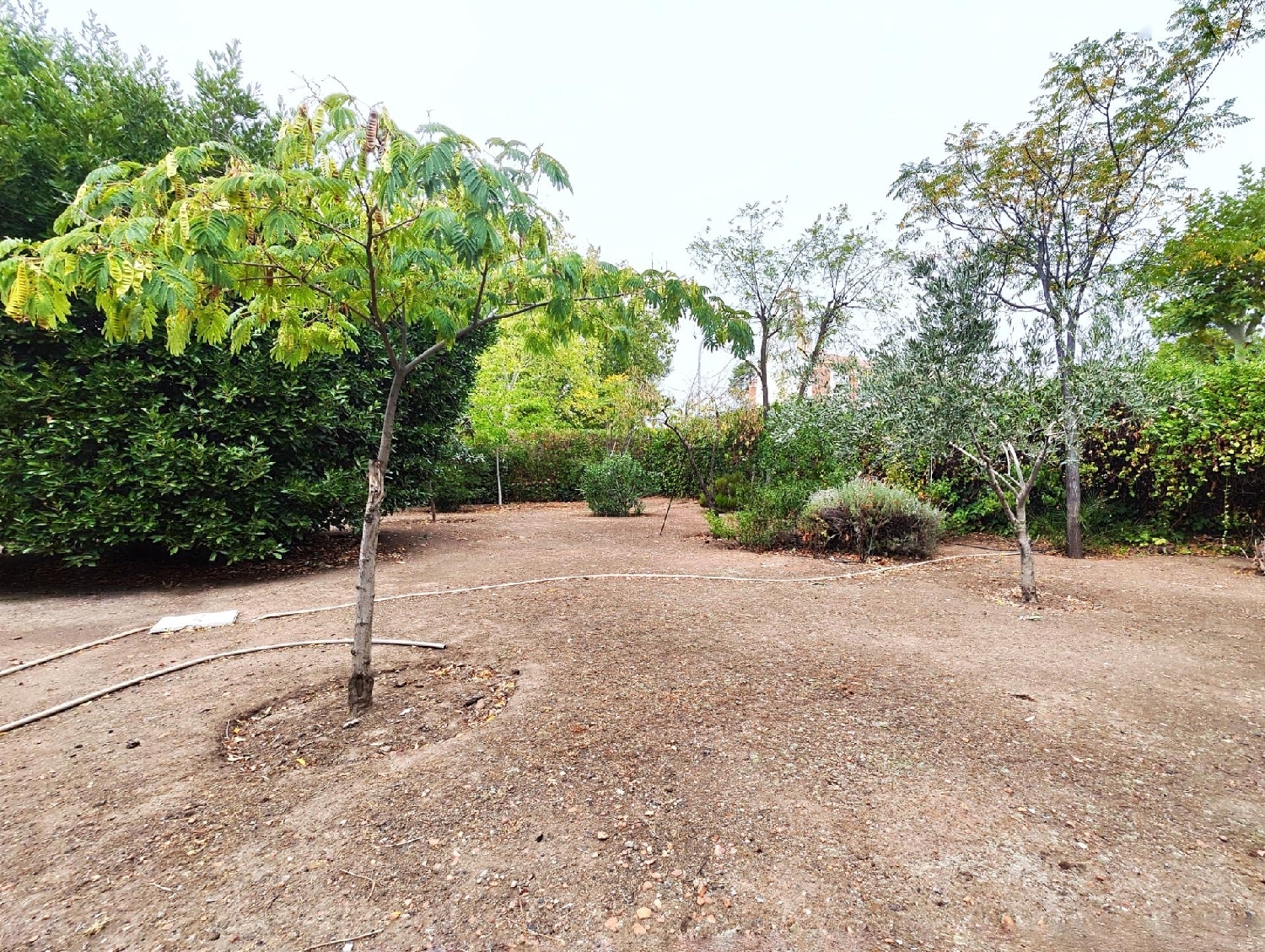  till salu hus Puertollano Campo De Calatrava 8