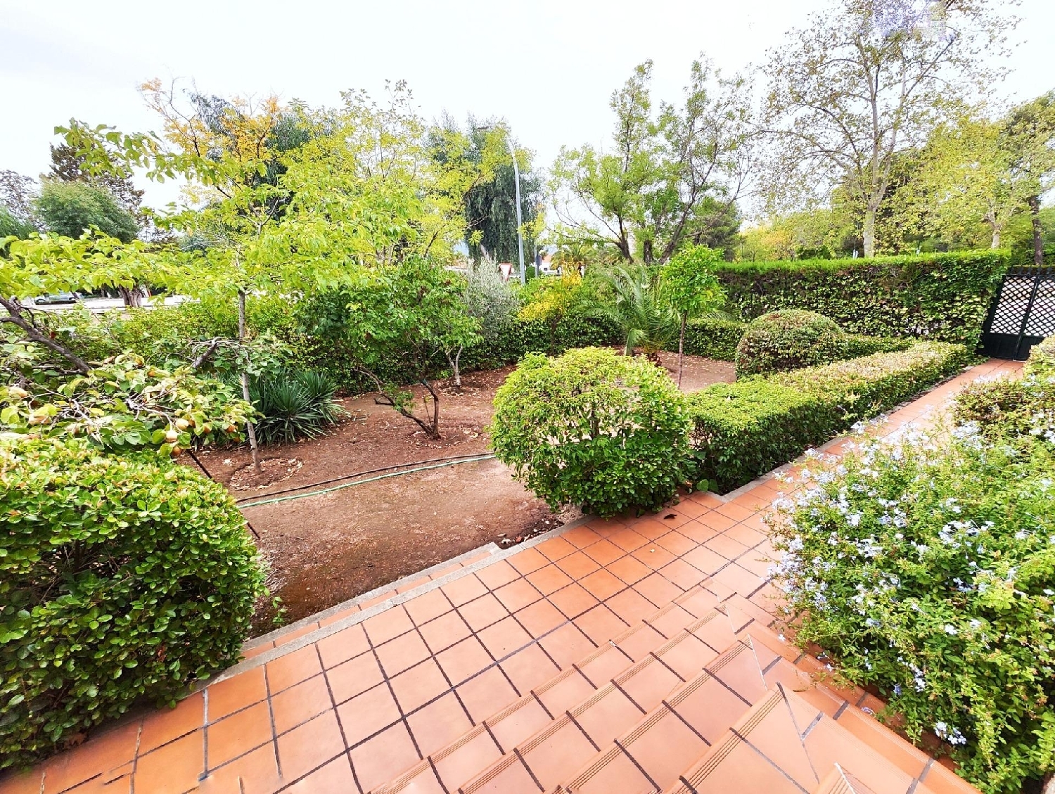  till salu hus Puertollano Campo De Calatrava 6