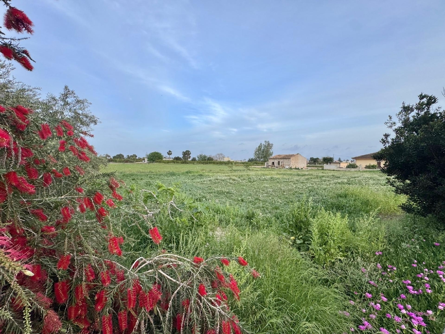  for sale house Rafal Baix Segura 6