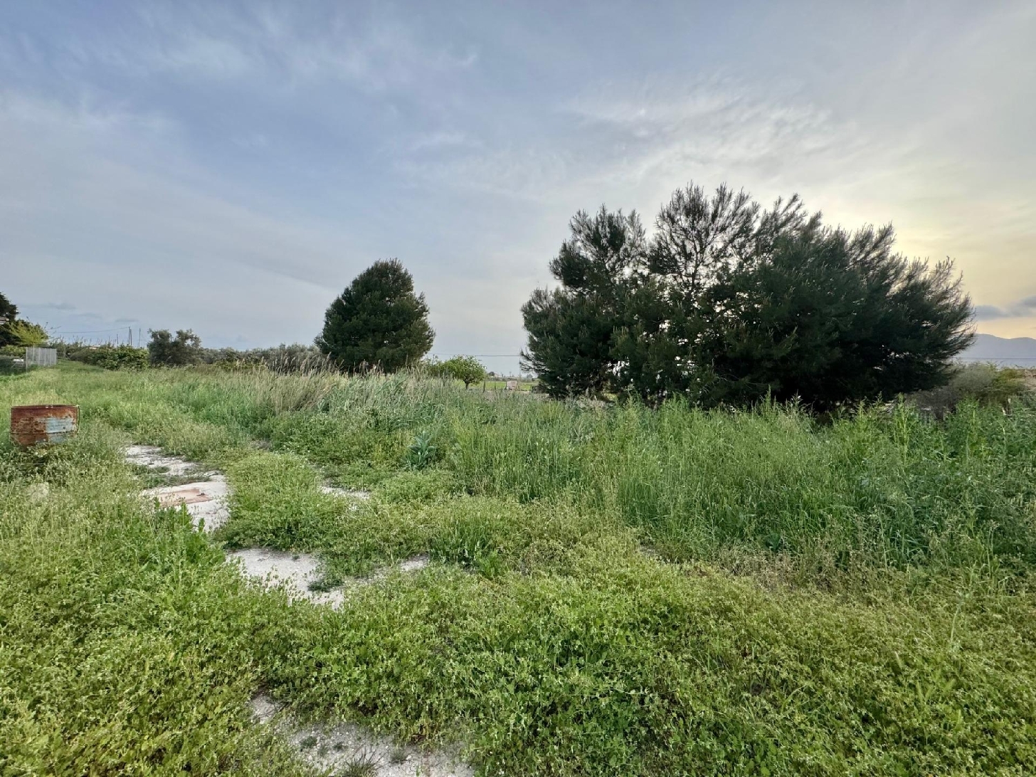  for sale house Rafal Baix Segura 2