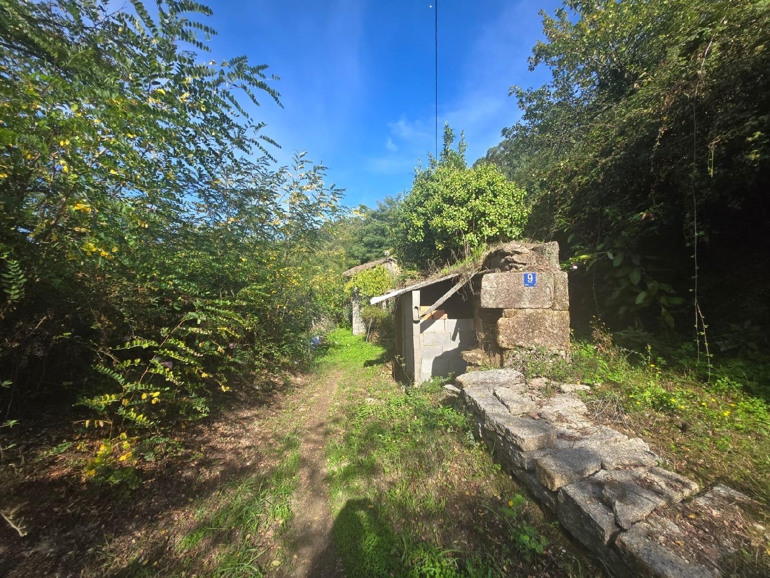  kaufen Haus Salceda De Caselas Vigo 2