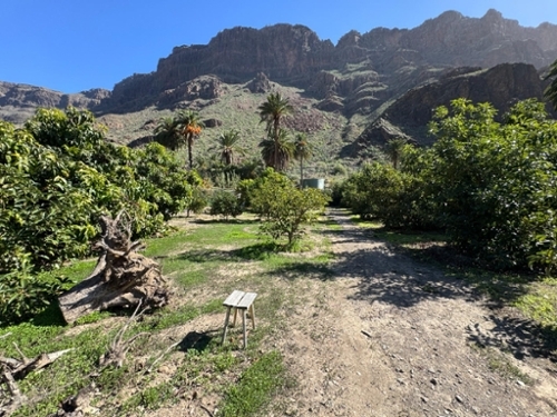 San Bartolomé De Tirajana Área Sur hus foto 6342060