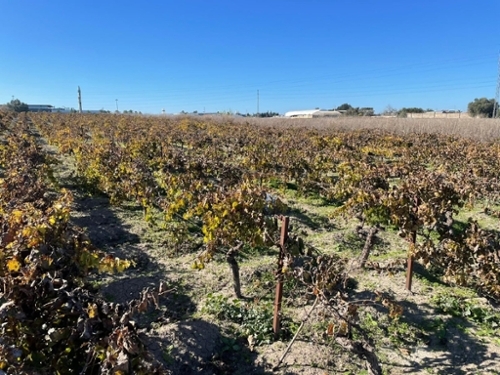 Sanlúcar De Barrameda Costa Noroeste hus foto 6327256