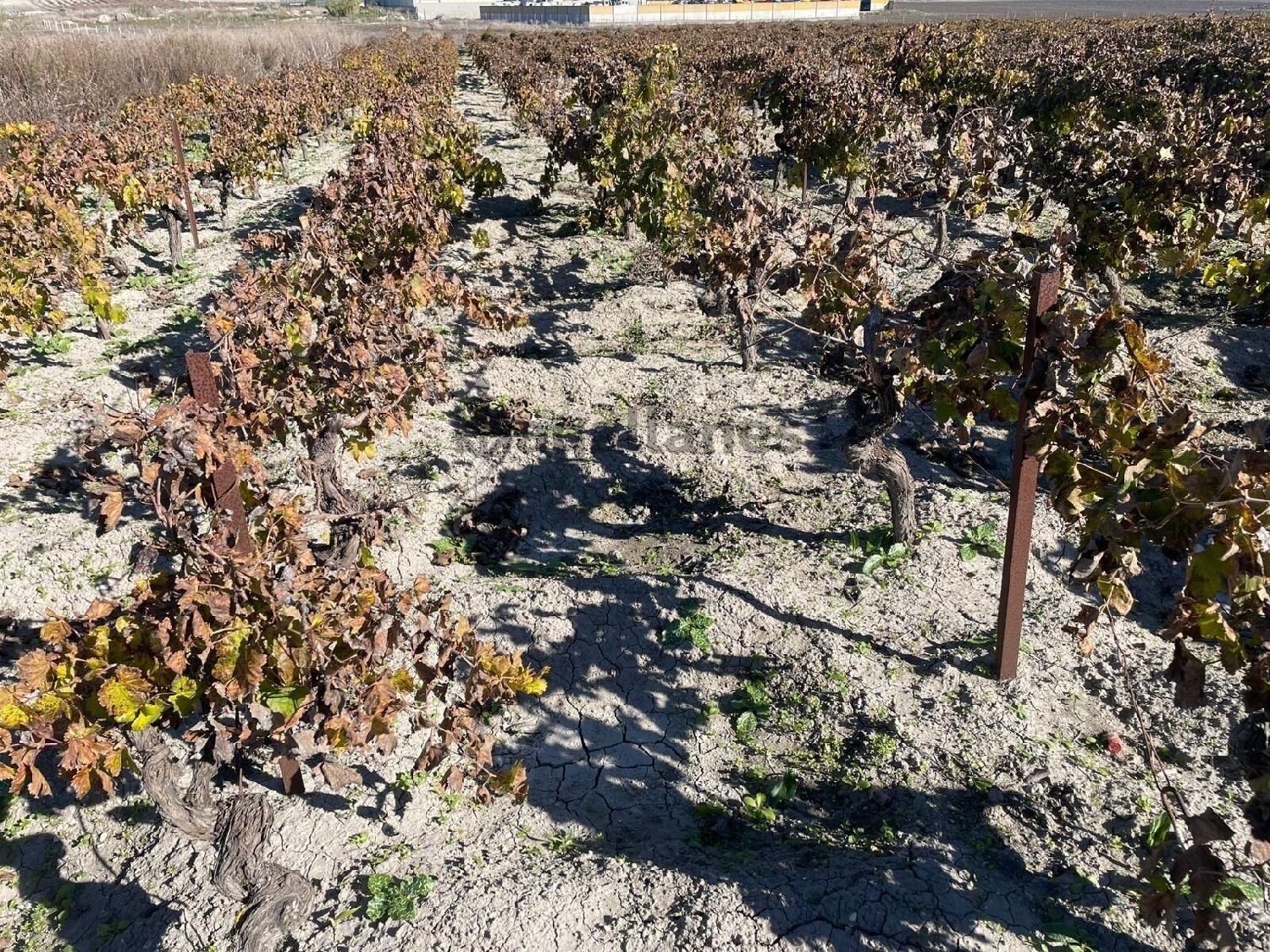 till salu hus Sanlúcar De Barrameda Costa Noroeste 2